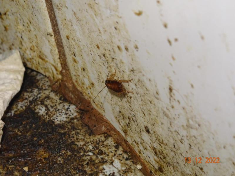 Illustrative photo no. 7