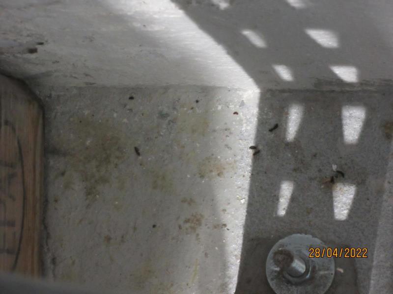 Illustrative photo no. 4