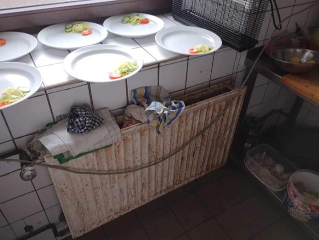 Illustrative photo no. 31
