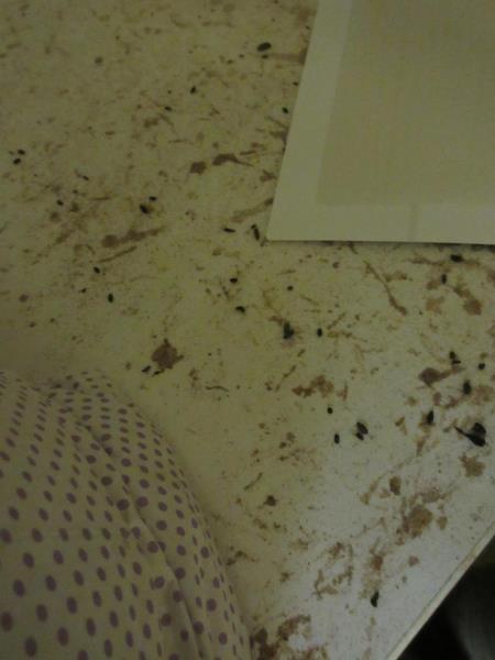 Illustrative photo no. 3