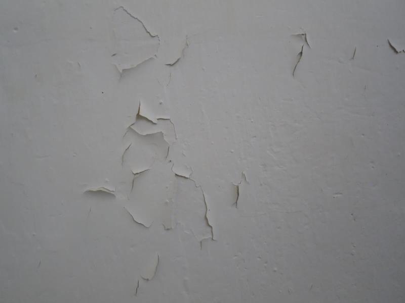 Illustrative photo no. 4