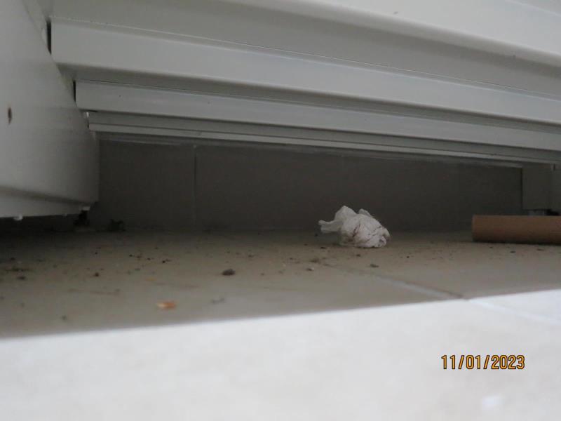 Illustrative photo no. 5