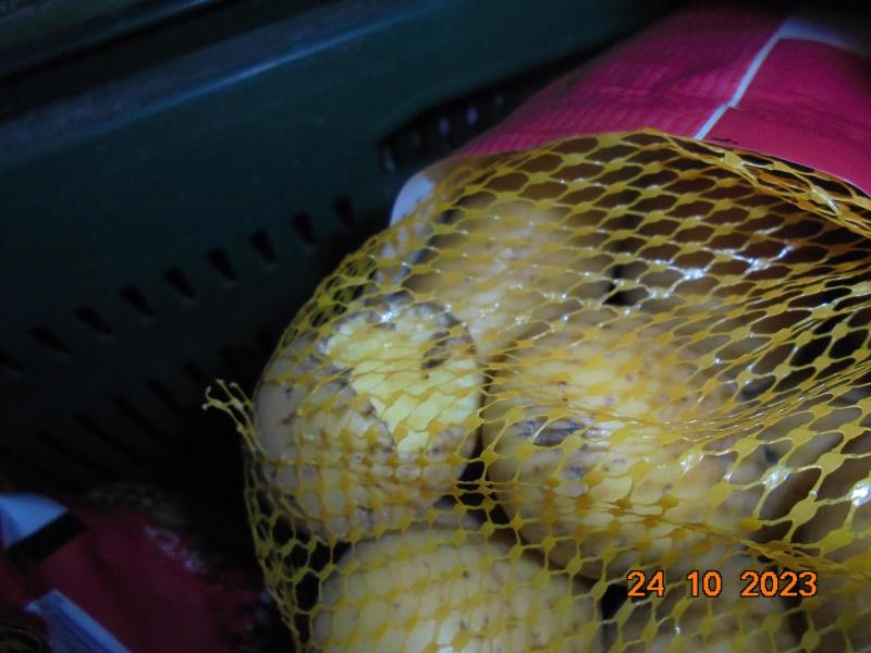Illustrative photo no. 10