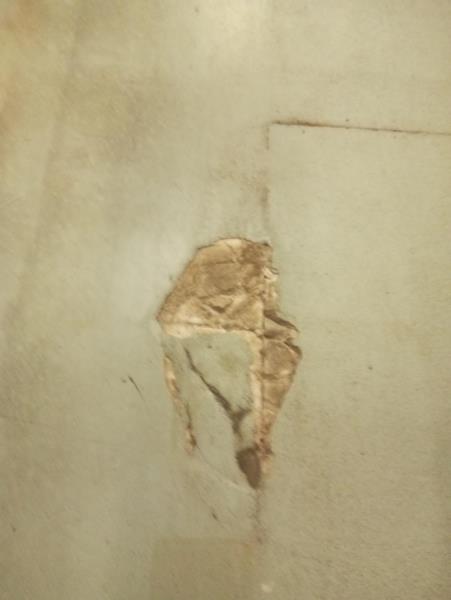 Illustrative photo no. 7