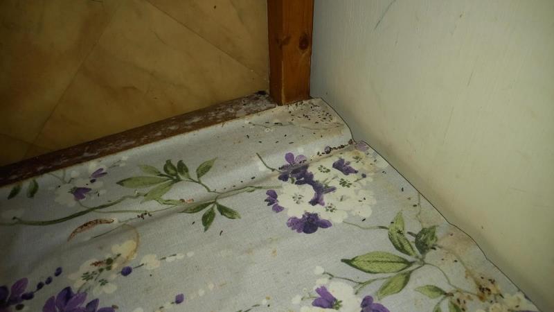 Illustrative photo no. 3