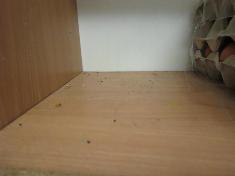Illustrative photo no. 4