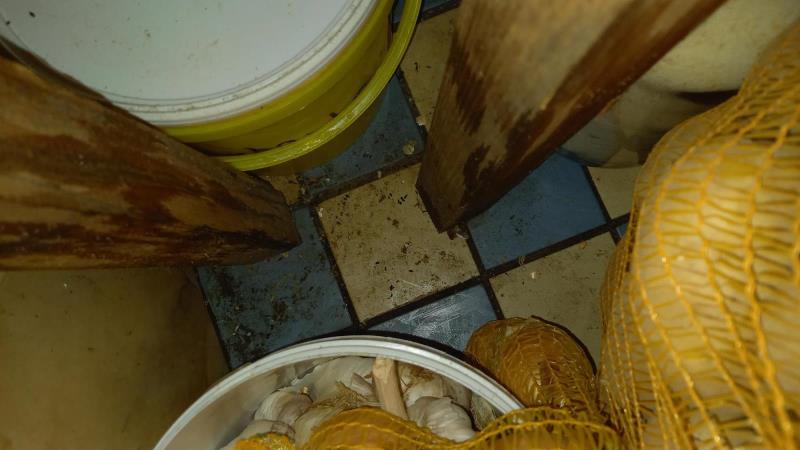 Illustrative photo no. 4