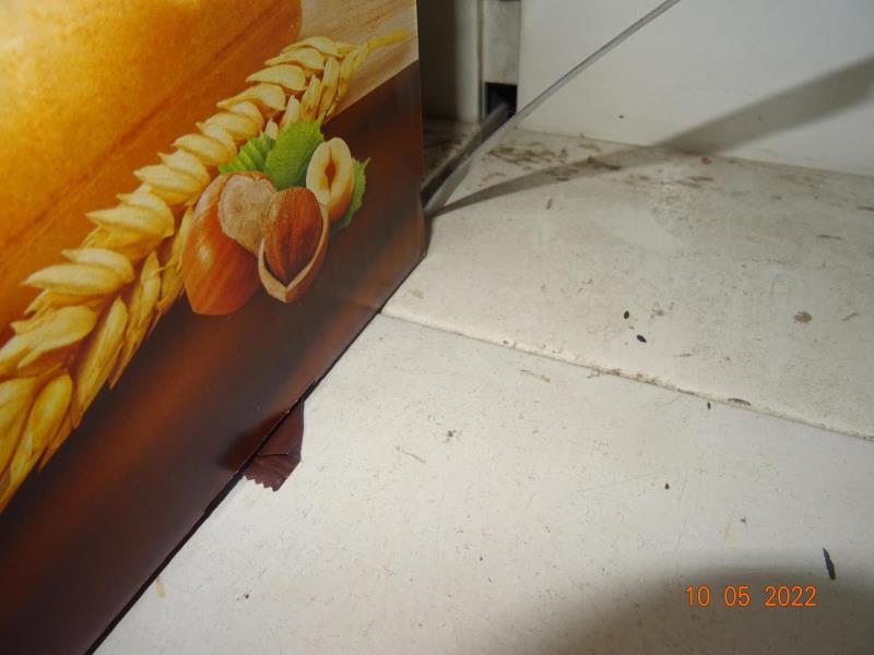 Illustrative photo no. 18