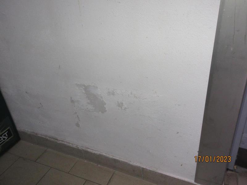 Illustrative photo no. 9