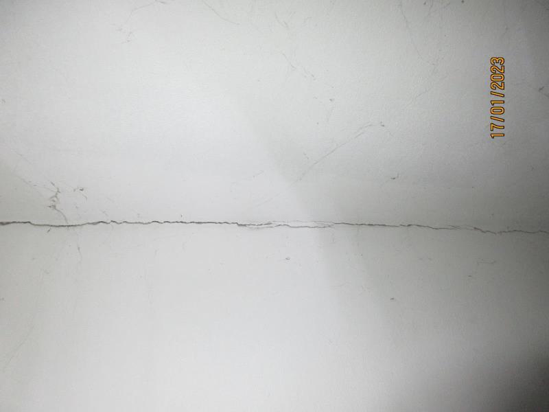 Illustrative photo no. 8