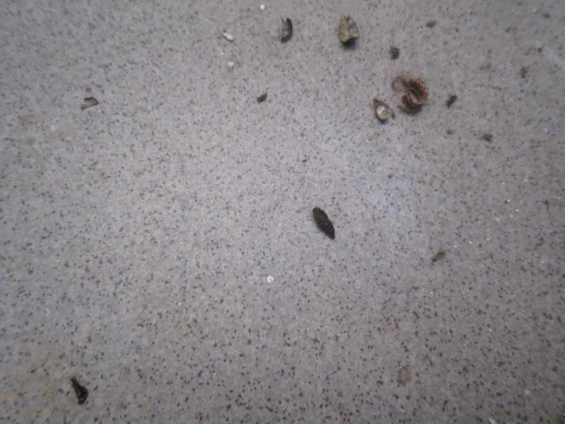 Illustrative photo no. 3