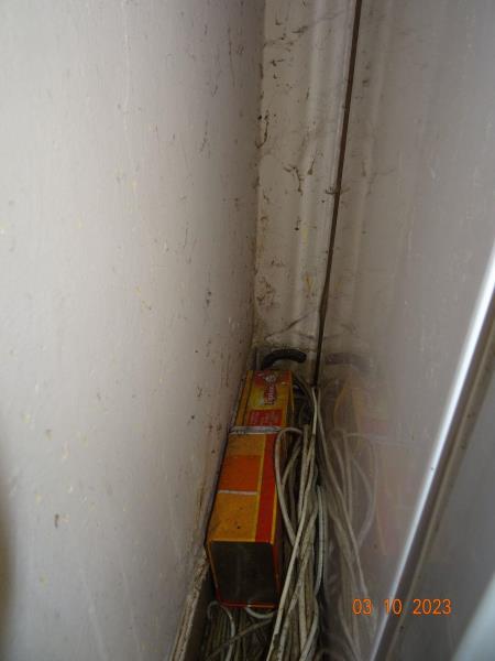 Illustrative photo no. 9