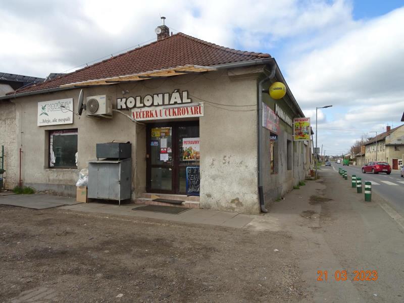 Ilustrační fotografie č. 1
