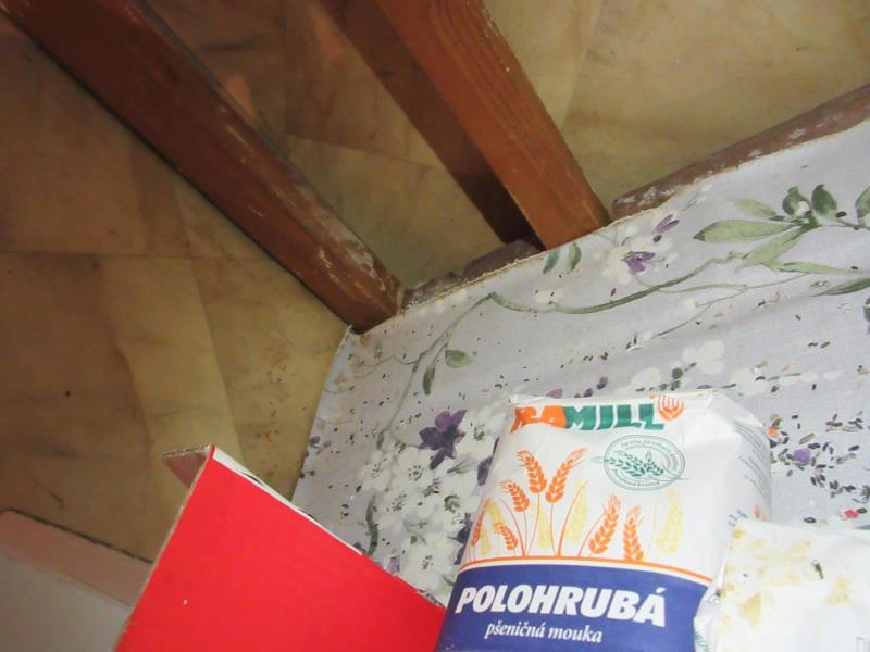 Illustrative photo no. 13