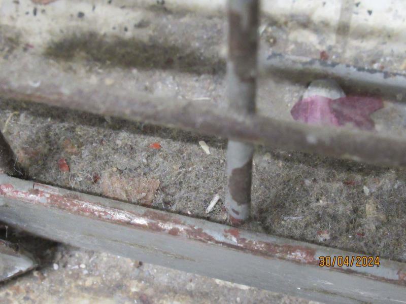 Illustrative photo no. 3