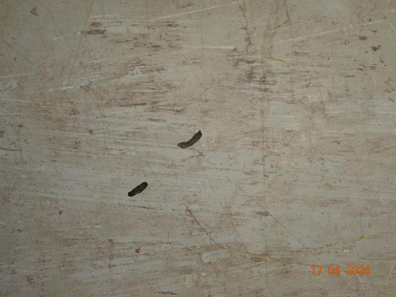 Illustrative photo no. 2