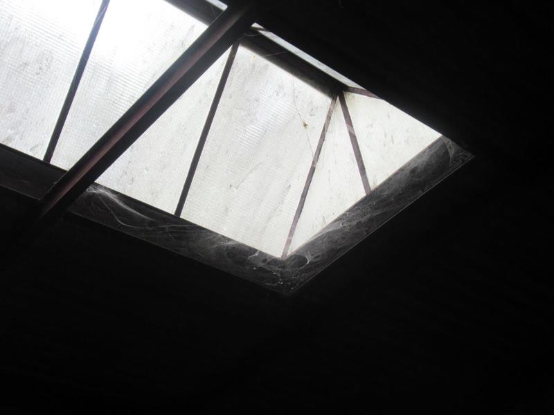 Illustrative photo no. 11