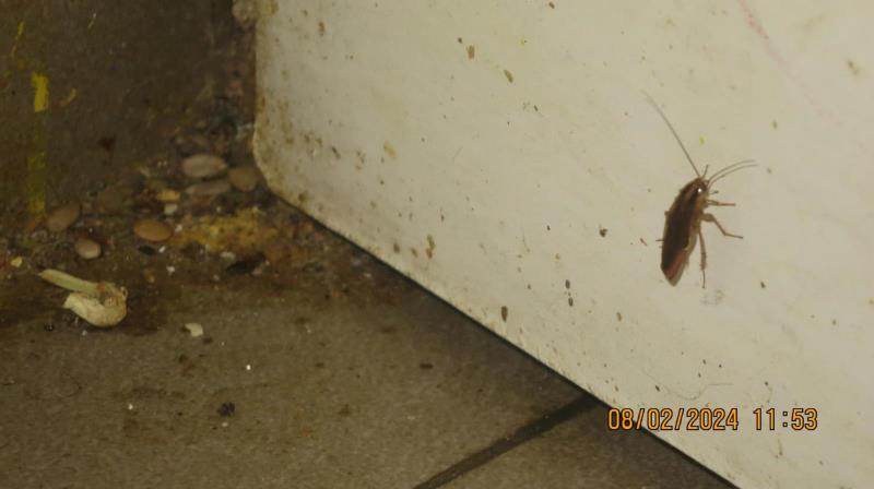 Illustrative photo no. 13