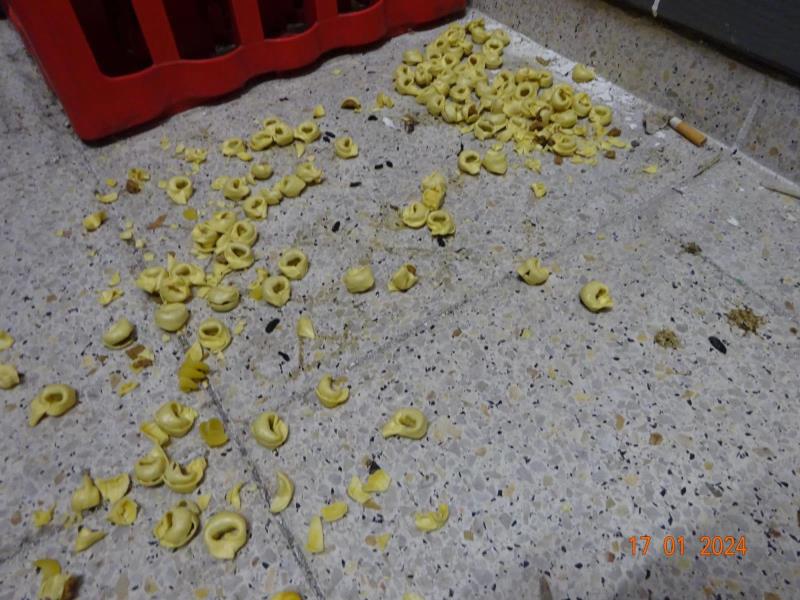 Ilustrační fotografie č. 7