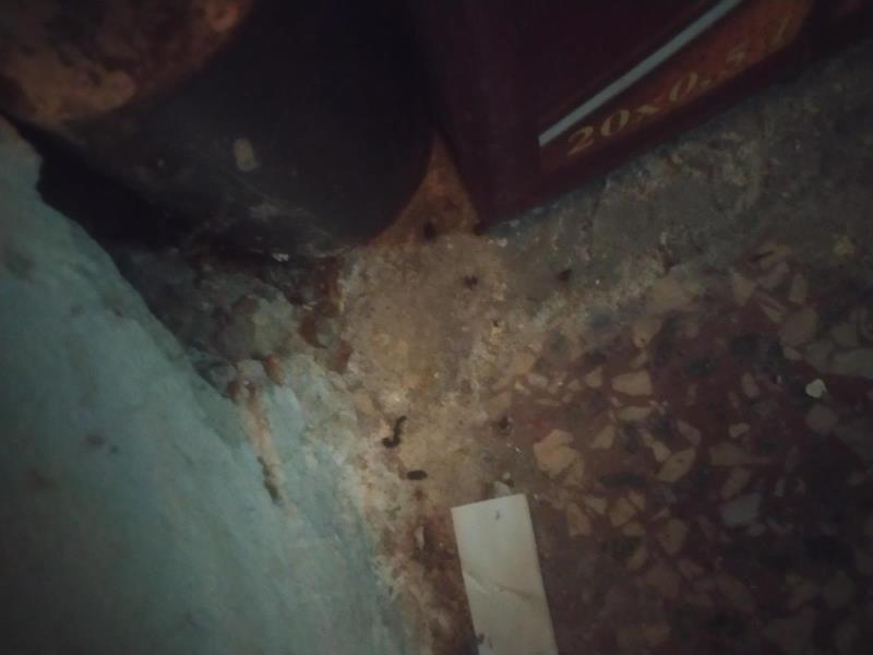 Illustrative photo no. 8