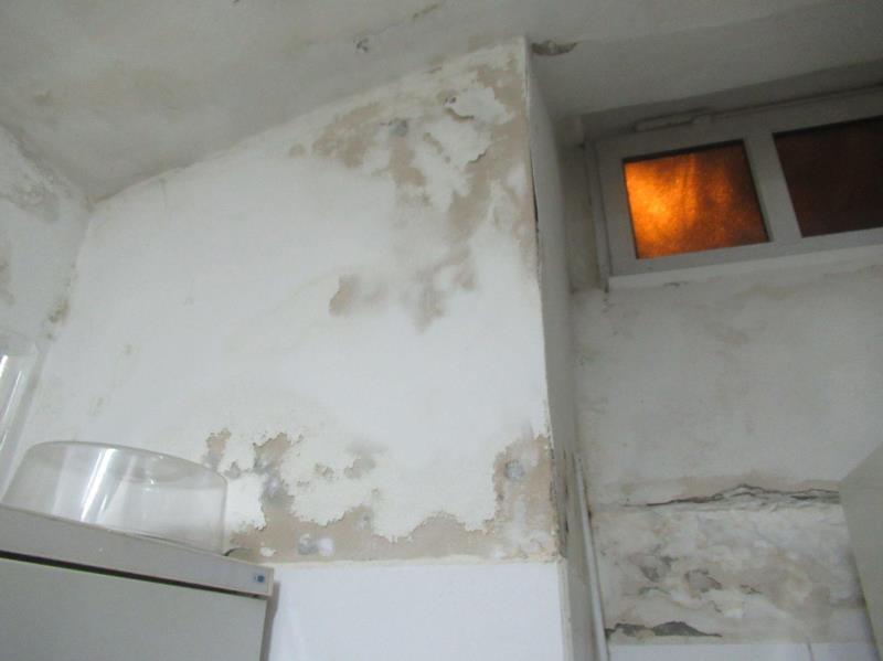 Illustrative photo no. 2