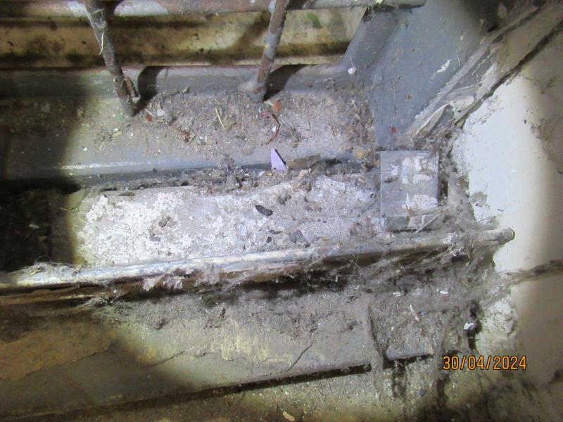 Illustrative photo no. 8