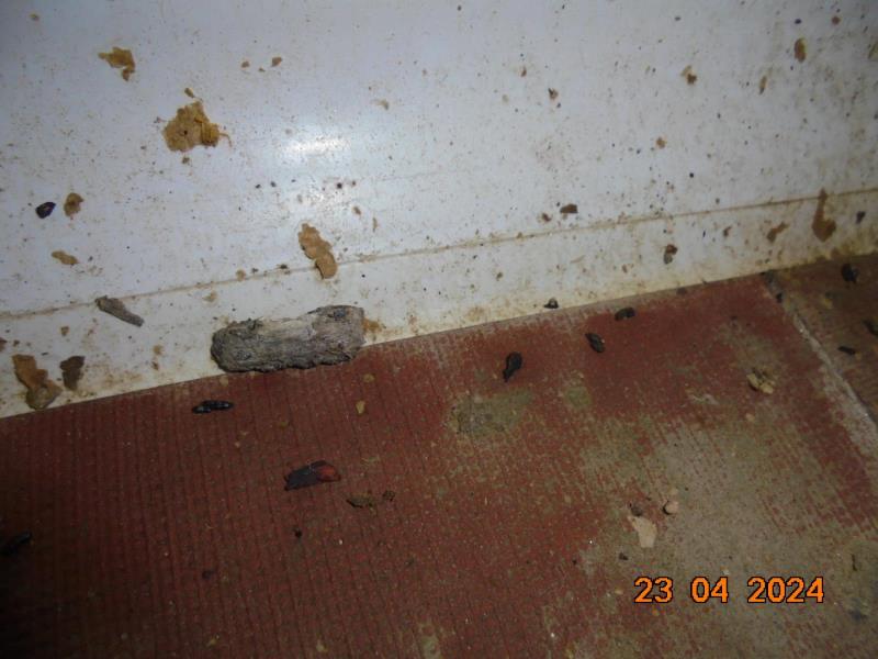 Illustrative photo no. 9