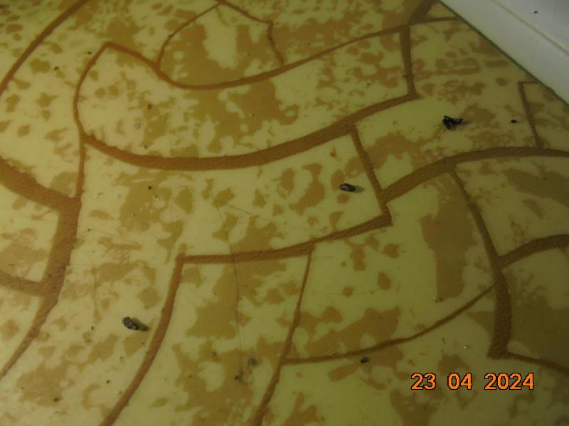 Illustrative photo no. 12
