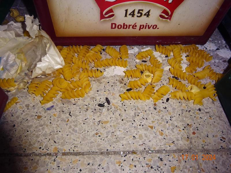 Ilustrační fotografie č. 5