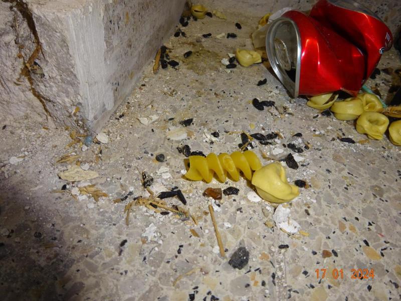 Ilustrační fotografie č. 3