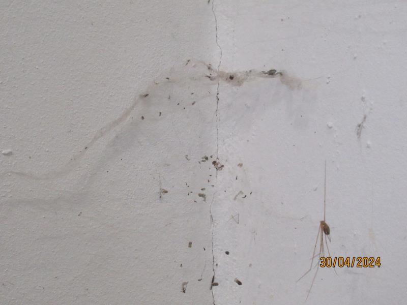 Illustrative photo no. 7