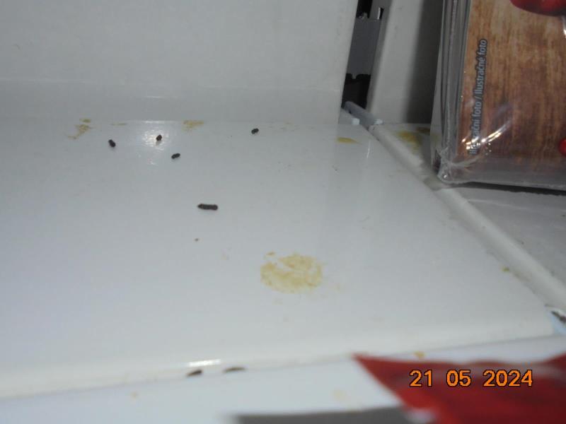 Illustrative photo no. 7