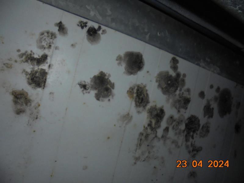 Illustrative photo no. 4