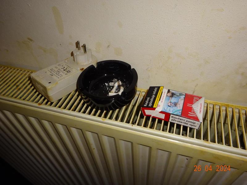 Illustrative photo no. 9