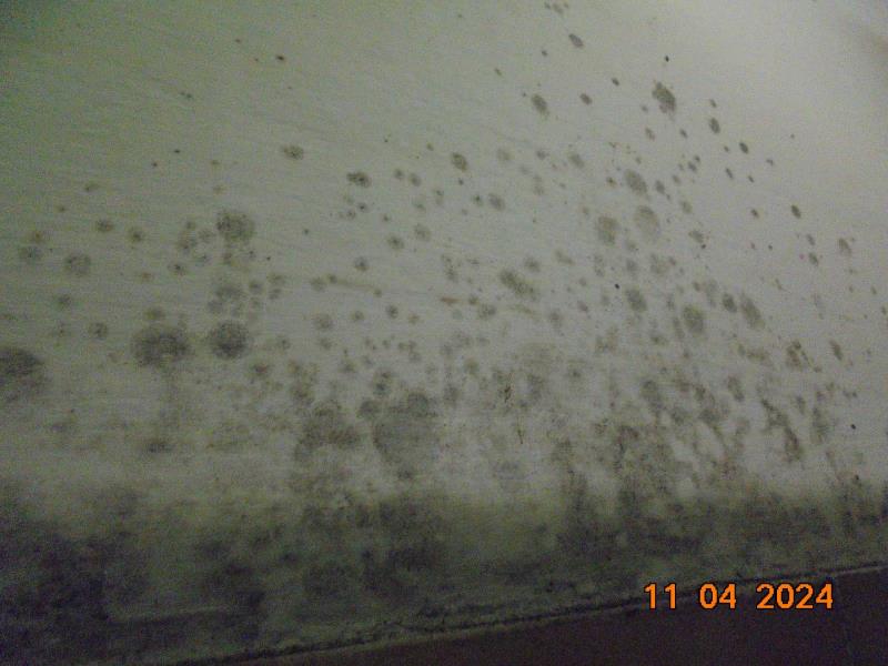 Illustrative photo no. 4