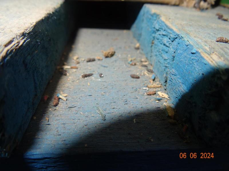 Illustrative photo no. 9