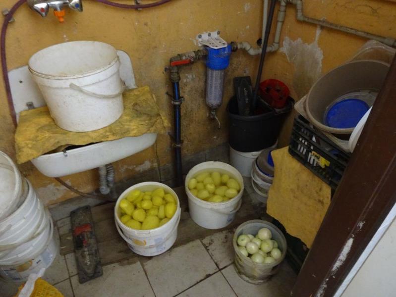 Ilustrační fotografie č. 8