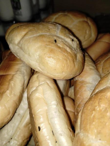 Ilustrační fotografie č. 10