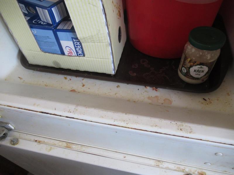 Ilustrační fotografie č. 14