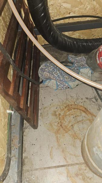 Illustrative photo no. 10