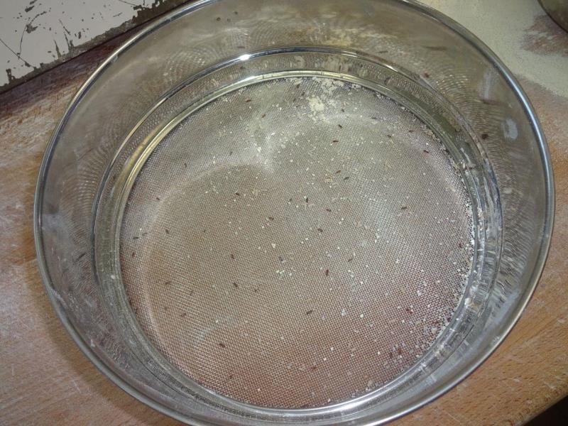 Illustrative photo no. 3
