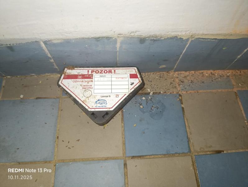 Ilustrační fotografie č. 6