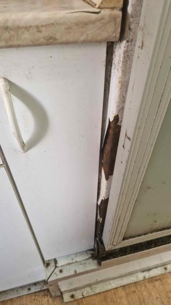 Ilustrační fotografie č. 11