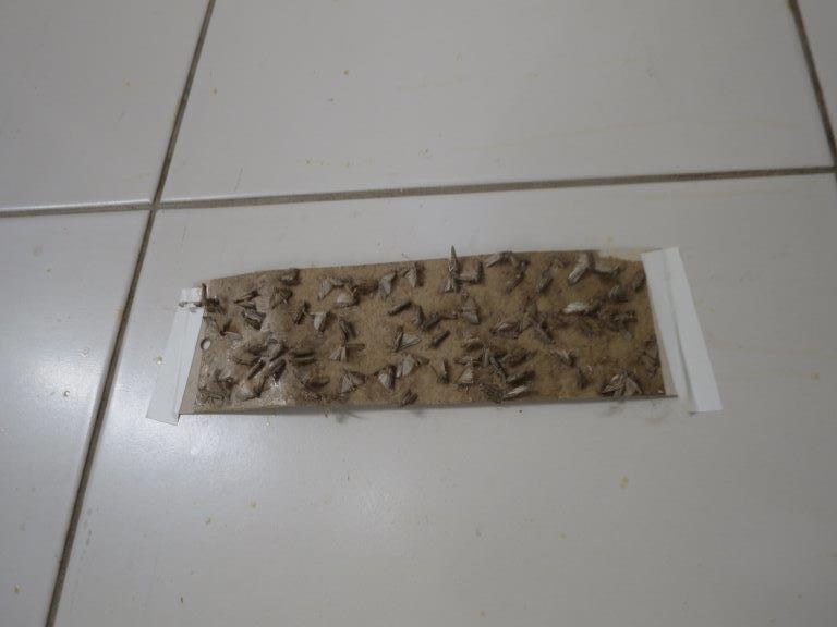 Ilustrační fotografie č. 10