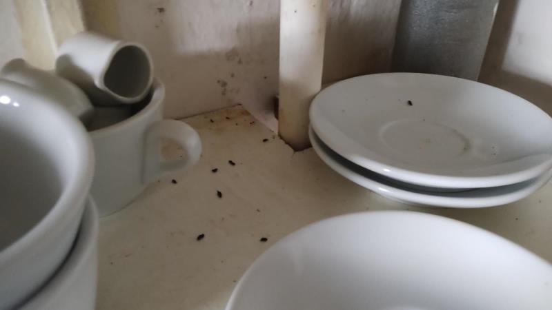 Ilustrační fotografie č. 11