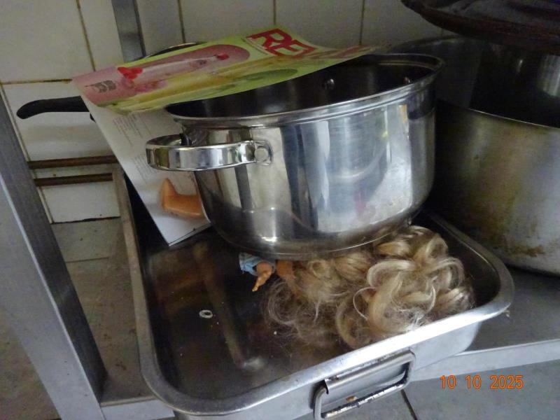Illustrative photo no. 24