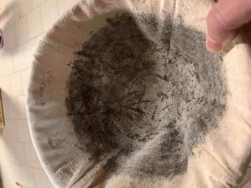 Ilustrační fotografie č. 7