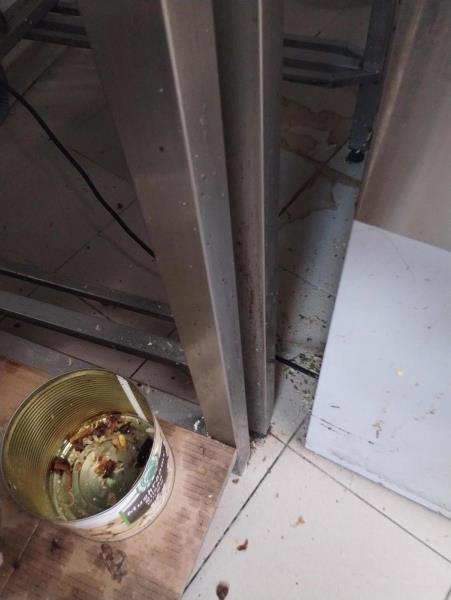 Ilustrační fotografie č. 9