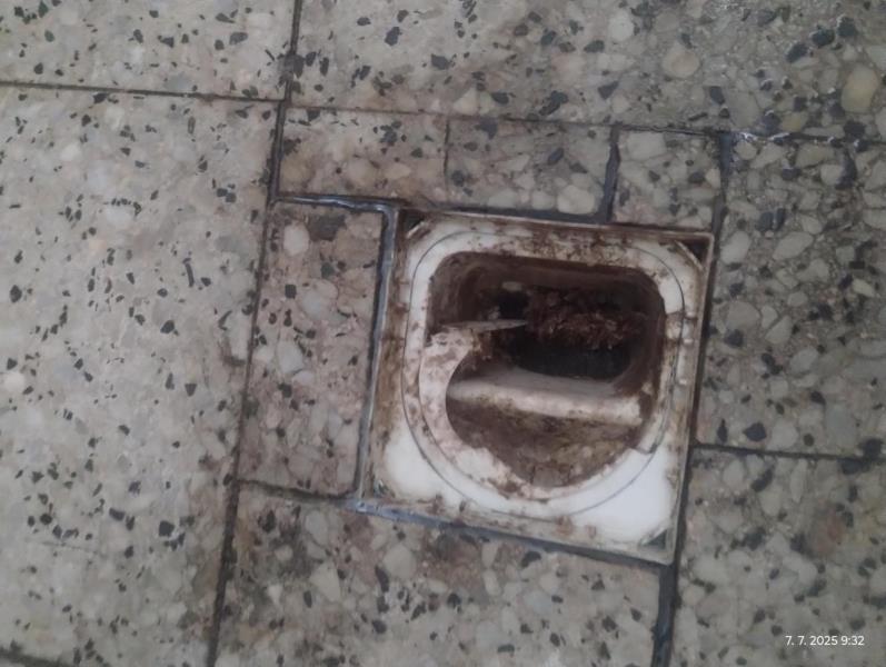 Ilustrační fotografie č. 15