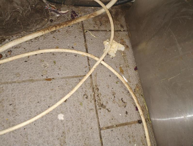 Ilustrační fotografie č. 2